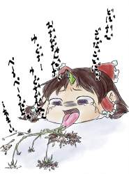 527449 B