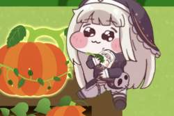 255894 B
