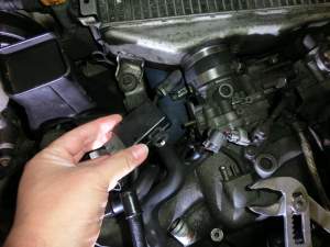 1020079 B