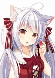 44383 B