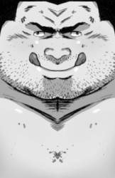 177044 B