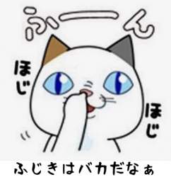 58568 B