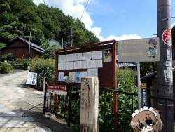 239351 B