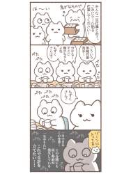 260244 B