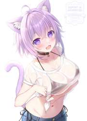 72662 B