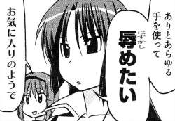 233817 B