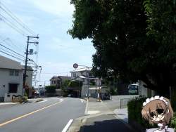 215978 B