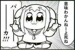 77213 B