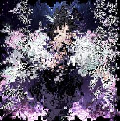 1002817 B