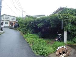 262256 B
