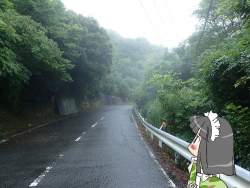 259781 B