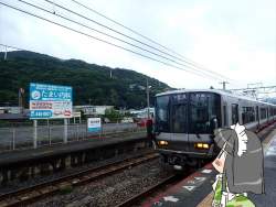 224823 B