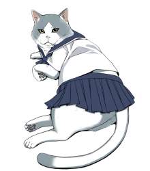 64716 B