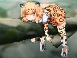 142864 B