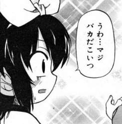 45583 B
