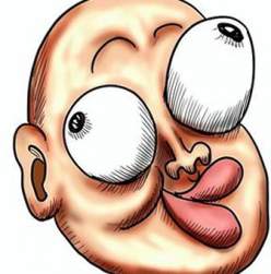 25688 B