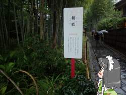 227823 B