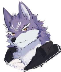 84426 B