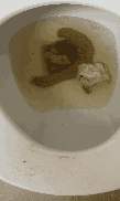 5583 B