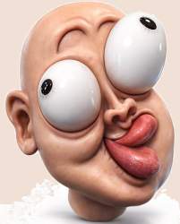 439581 B