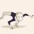 本文無し