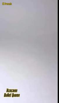 1251029 B