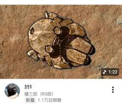 411523 B