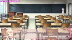 91031 B