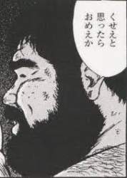 20533 B