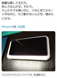 987568 B