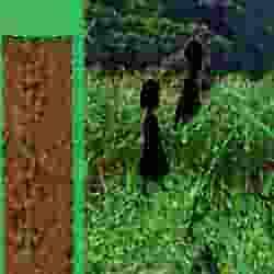 2297 B