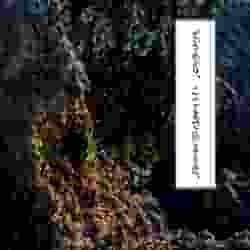 2126 B