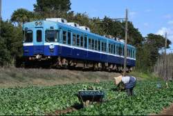 241844 B