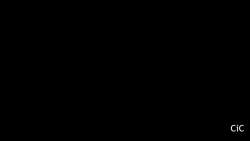 2637185 B