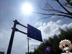 202842 B