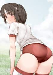 86501 B