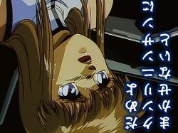 243456 B
