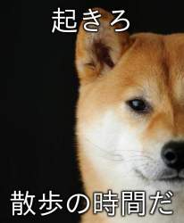 39697 B