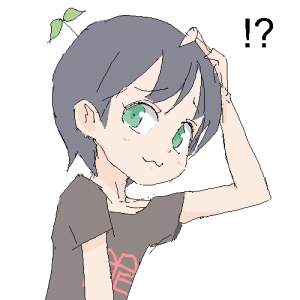 21736 B