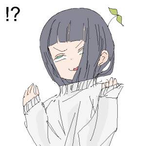 25333 B